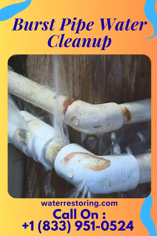 Burst Pipe Water Cleanup in Iva, SC